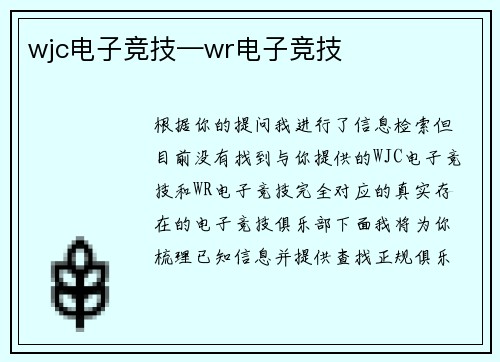 wjc电子竞技—wr电子竞技